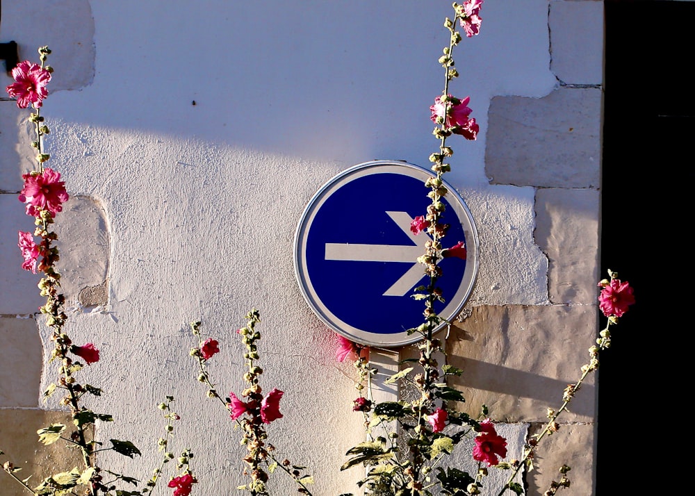 a blue sign on a white wall with pink flowers