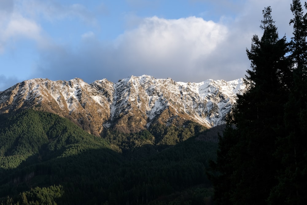 a snow covered mountain with trees in the foreground