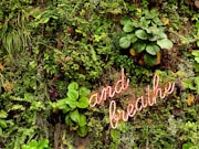 a sign that says and the plants are growing on the wall