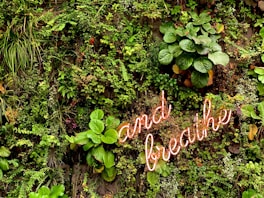 a sign that says and the plants are growing on the wall