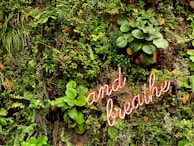 a sign that says and the plants are growing on the wall