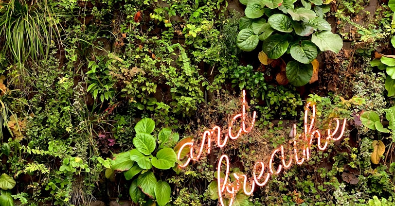 a sign that says and the plants are growing on the wall