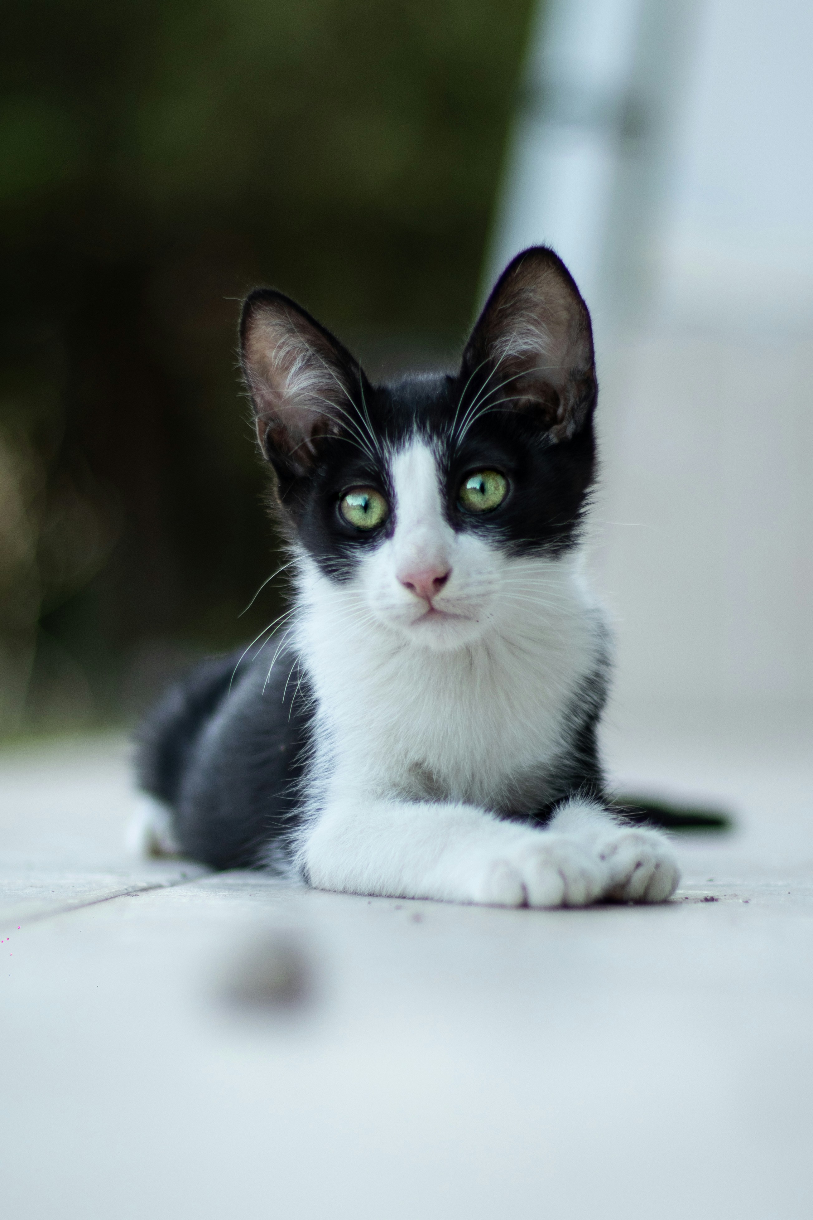 Photo by auriwagmacker