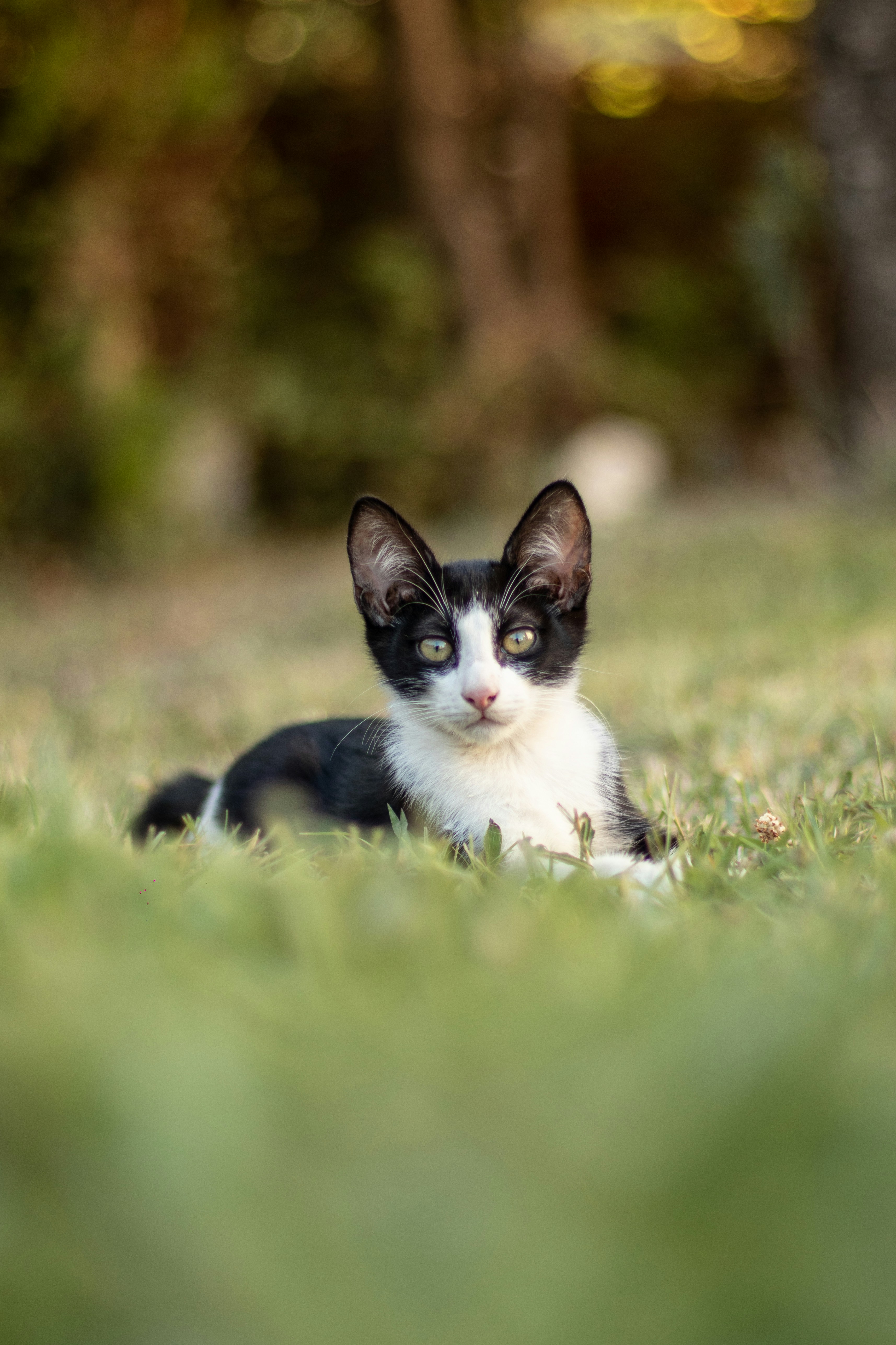 Photo by auriwagmacker