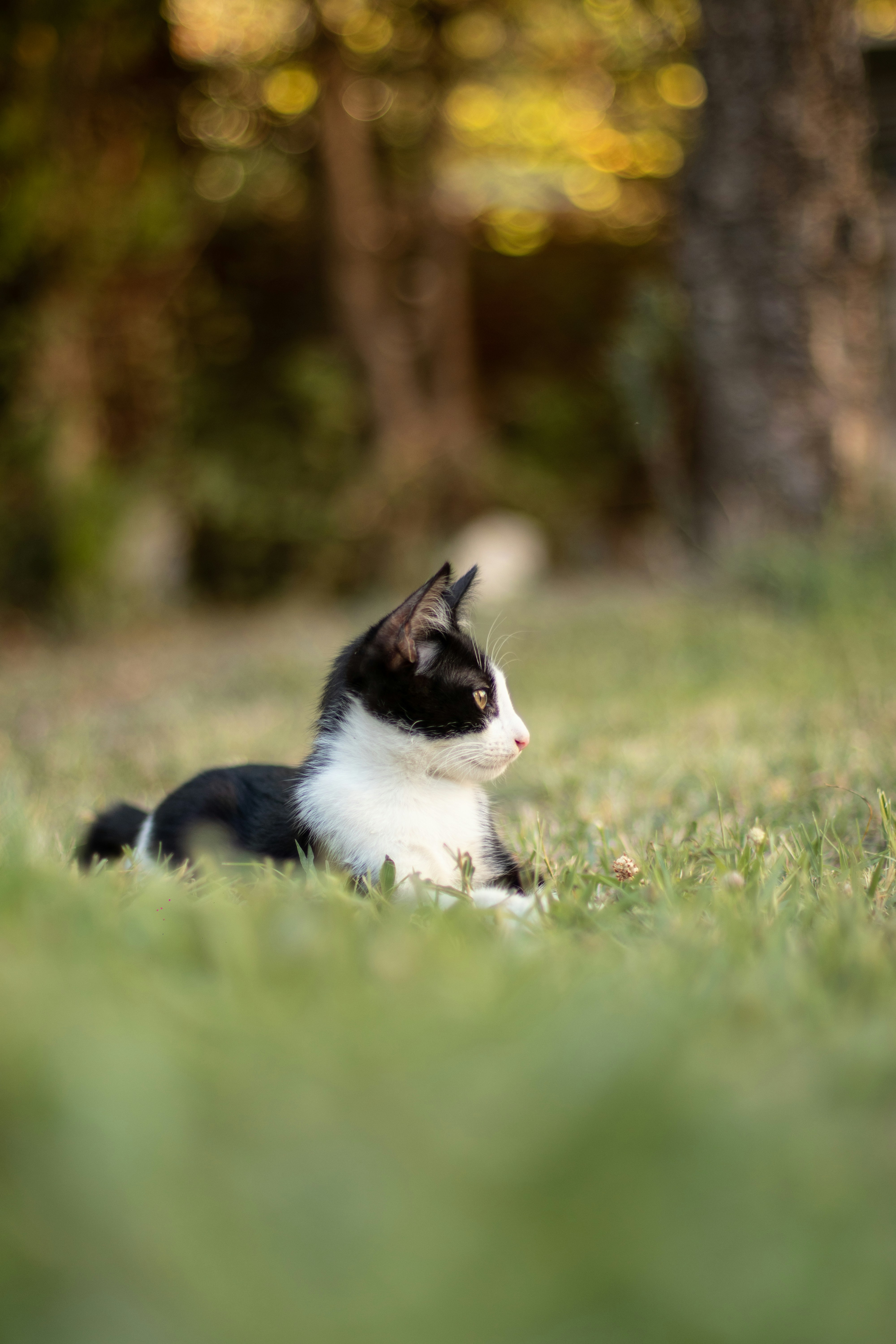 Photo by auriwagmacker