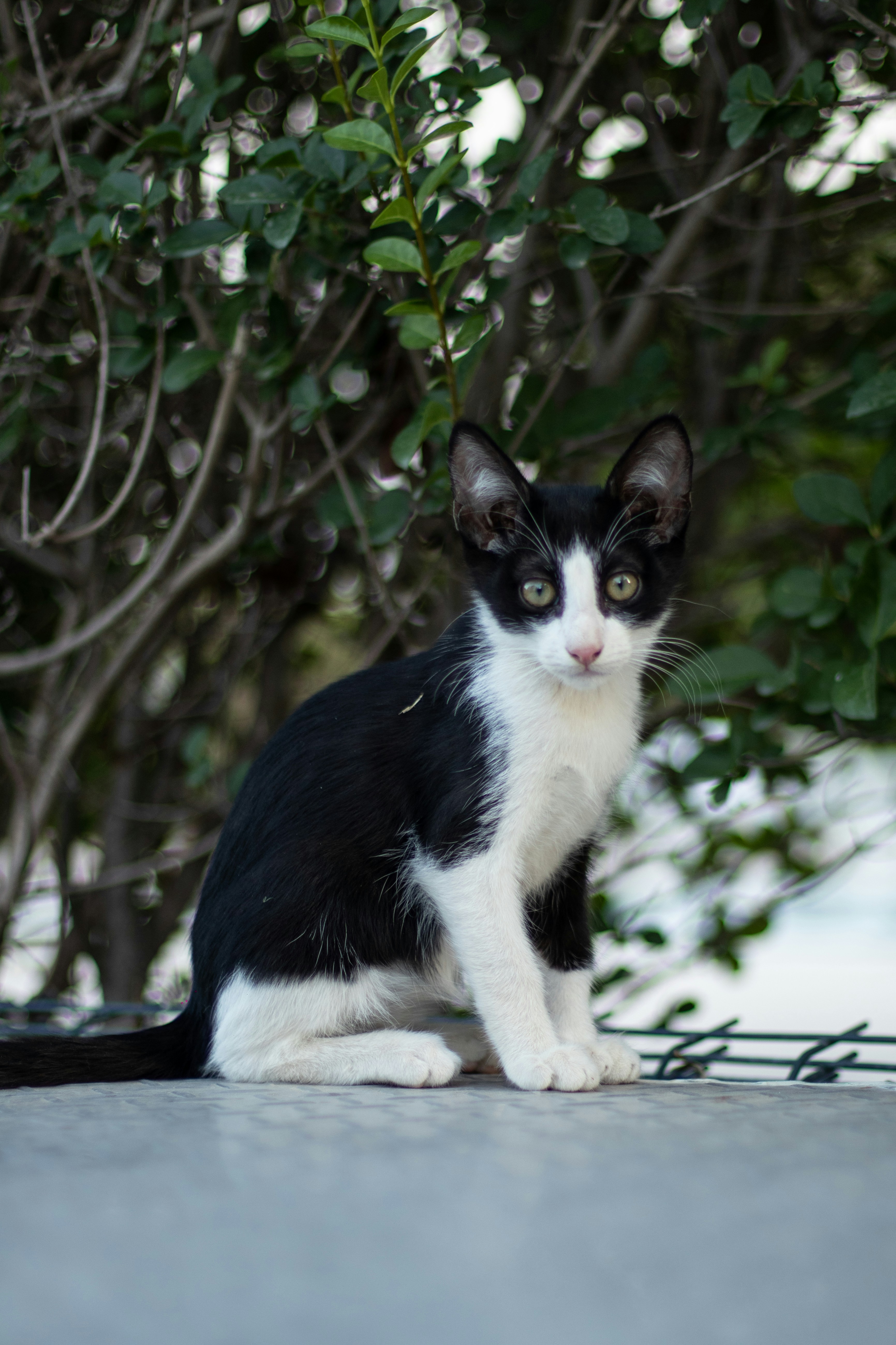 Photo by auriwagmacker