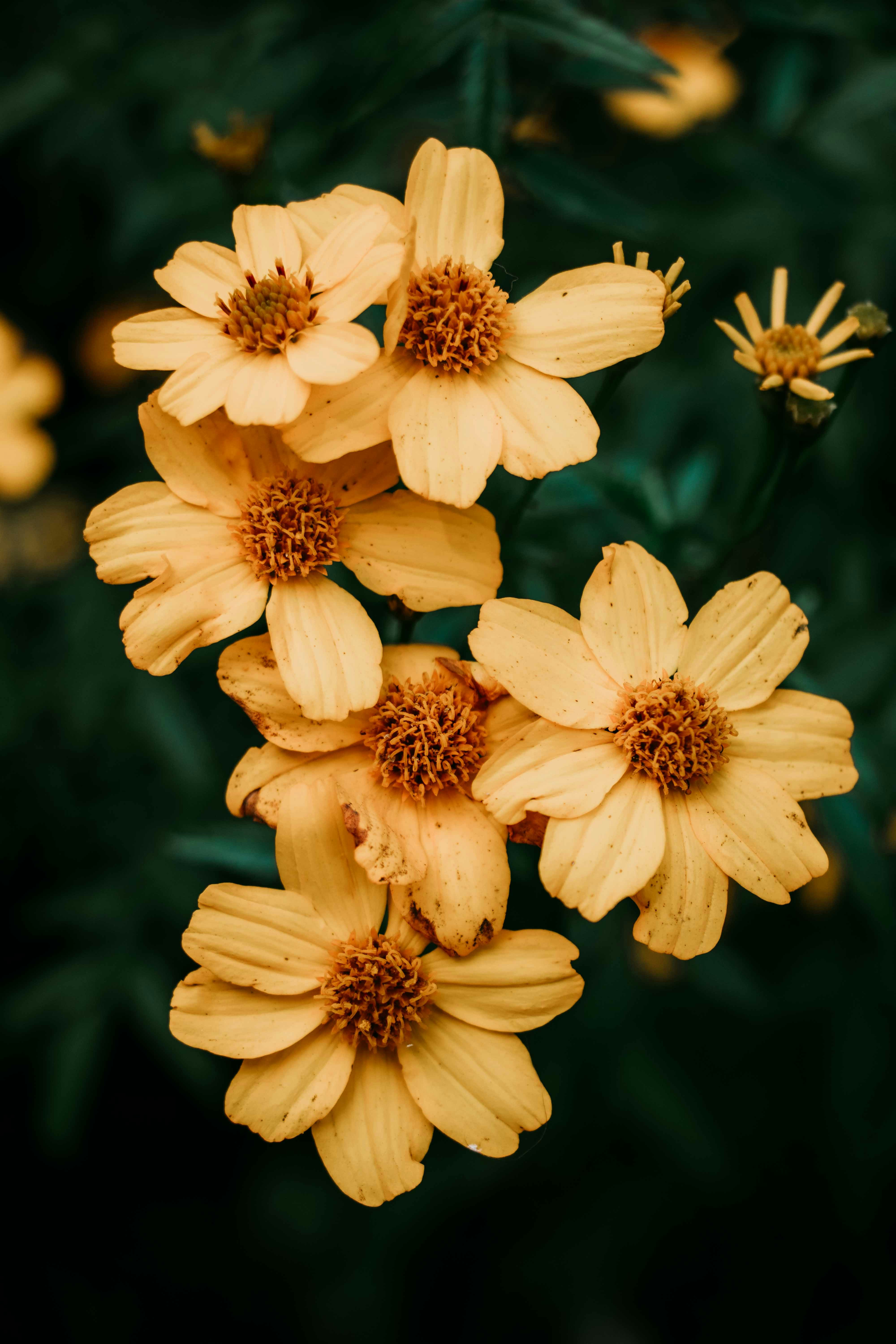 Photo by chelsea_hard