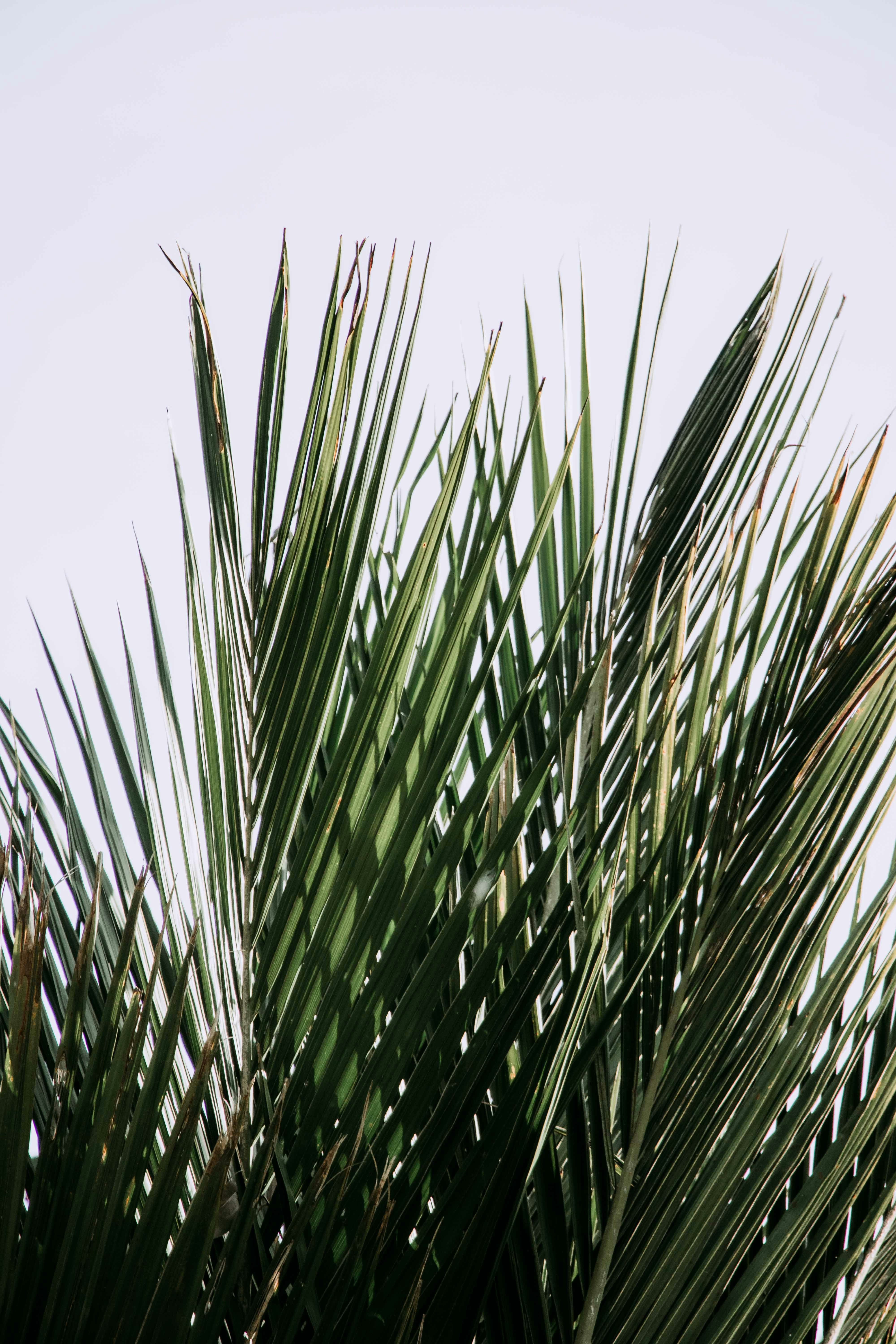 Photo by chelsea_hard