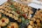 A variety of small savory tarts or quiches are arranged on black trays. Each tart appears golden brown with different fillings. There are scattered leafy greens and small cherry tomatoes as garnish.