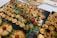 A variety of small savory tarts or quiches are arranged on black trays. Each tart appears golden brown with different fillings. There are scattered leafy greens and small cherry tomatoes as garnish.