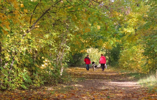 a couple of people walking a dog down a dirt road