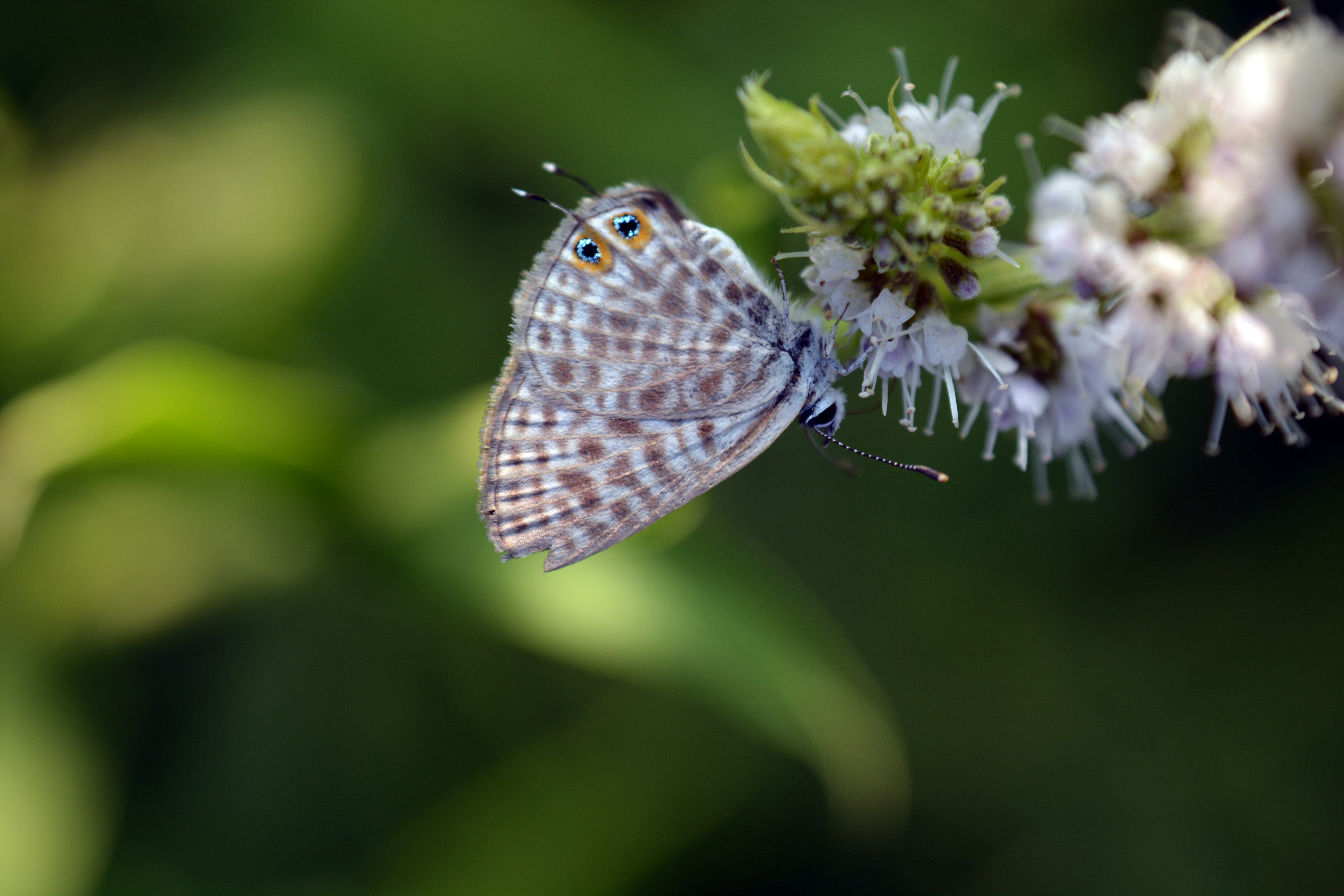 Photo by tamer_soliman