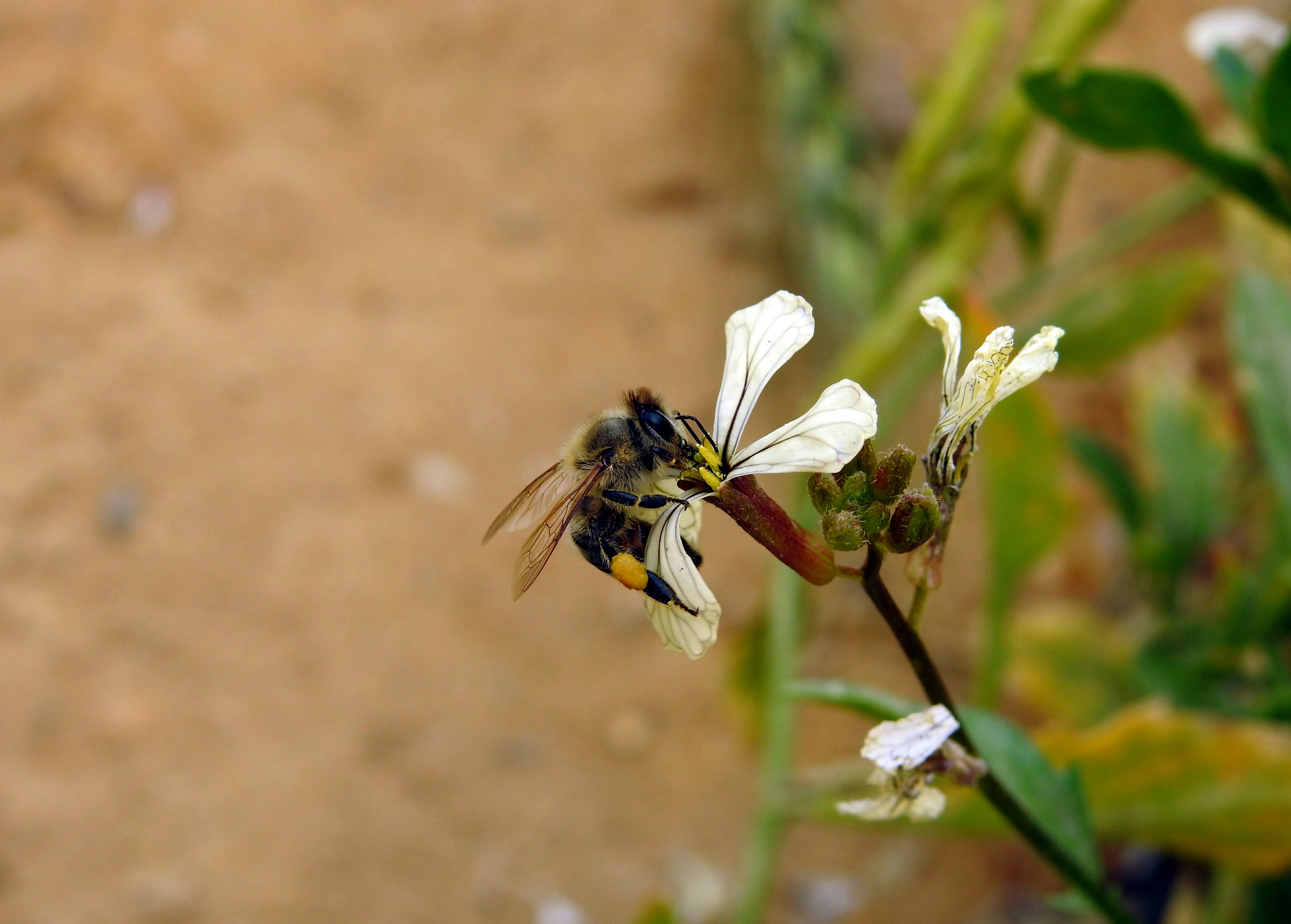 Photo by tamer_soliman