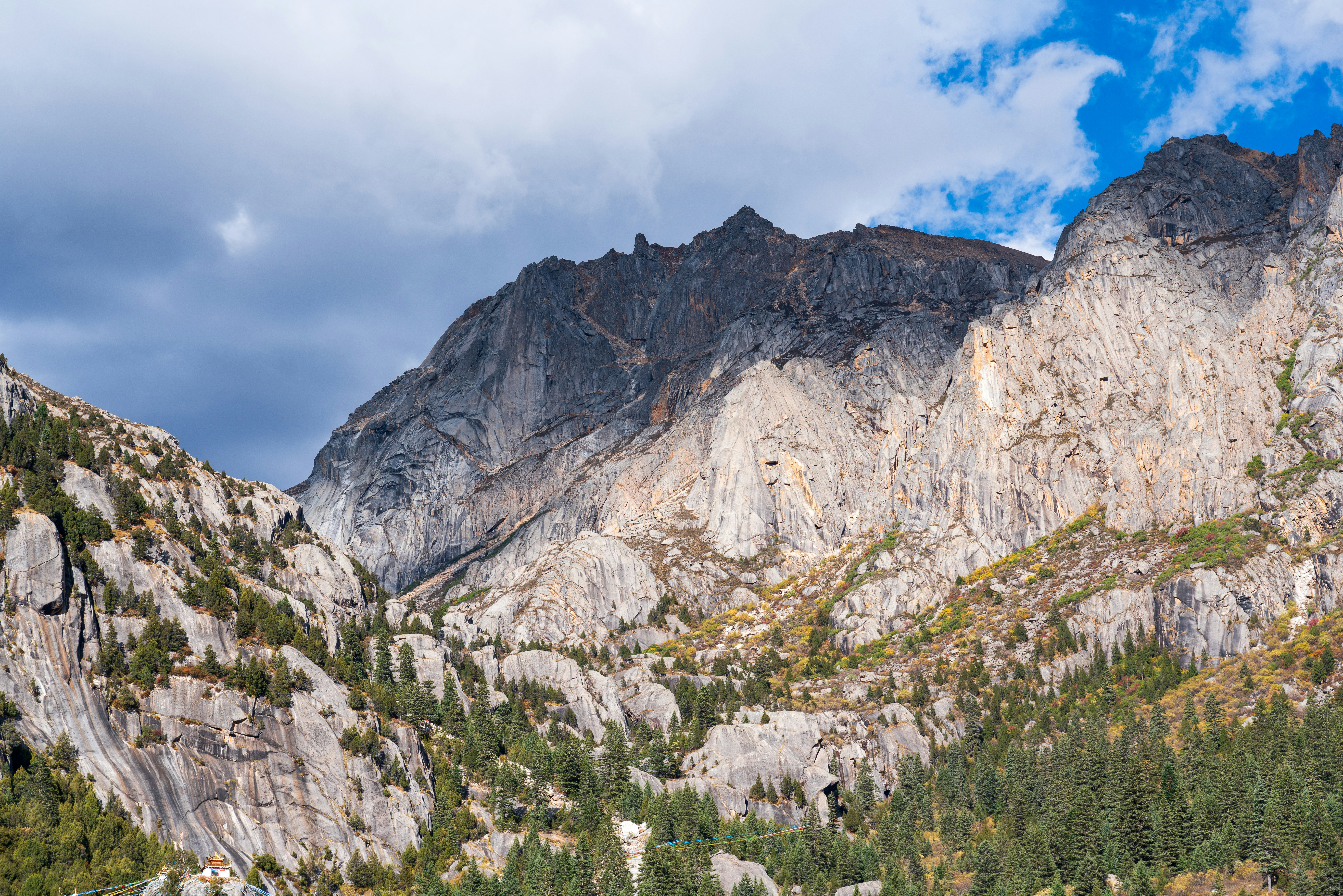 3. 上田市で展開する、鍼治療による健康美の新時代