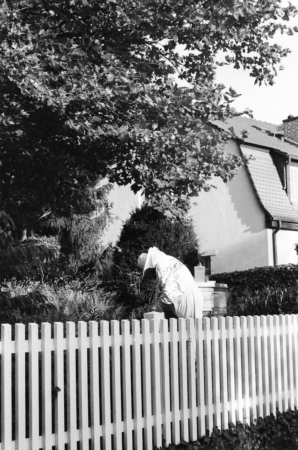 Ein weißer Lattenzaun umgibt ein Haus