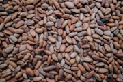 a pile of nuts sitting on top of a table