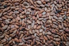 a pile of nuts sitting on top of a table