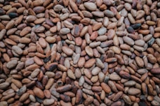 a pile of nuts sitting on top of a table