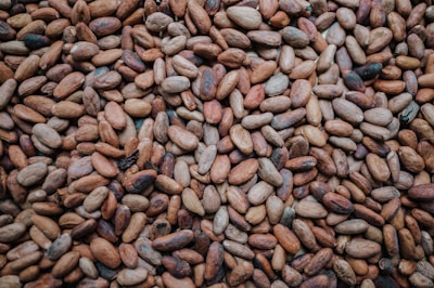 Cacao