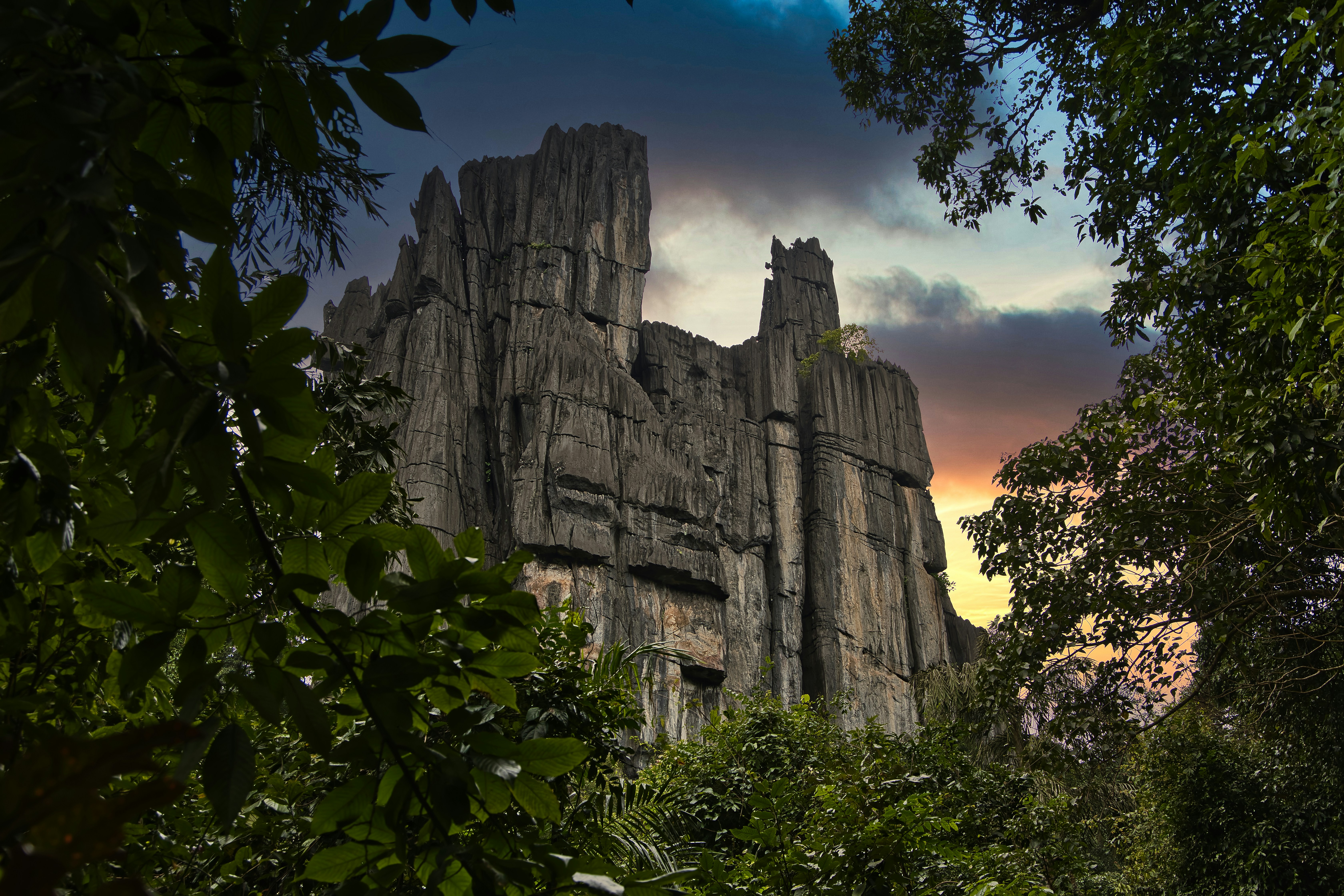 eine große Felsformation mitten im Wald