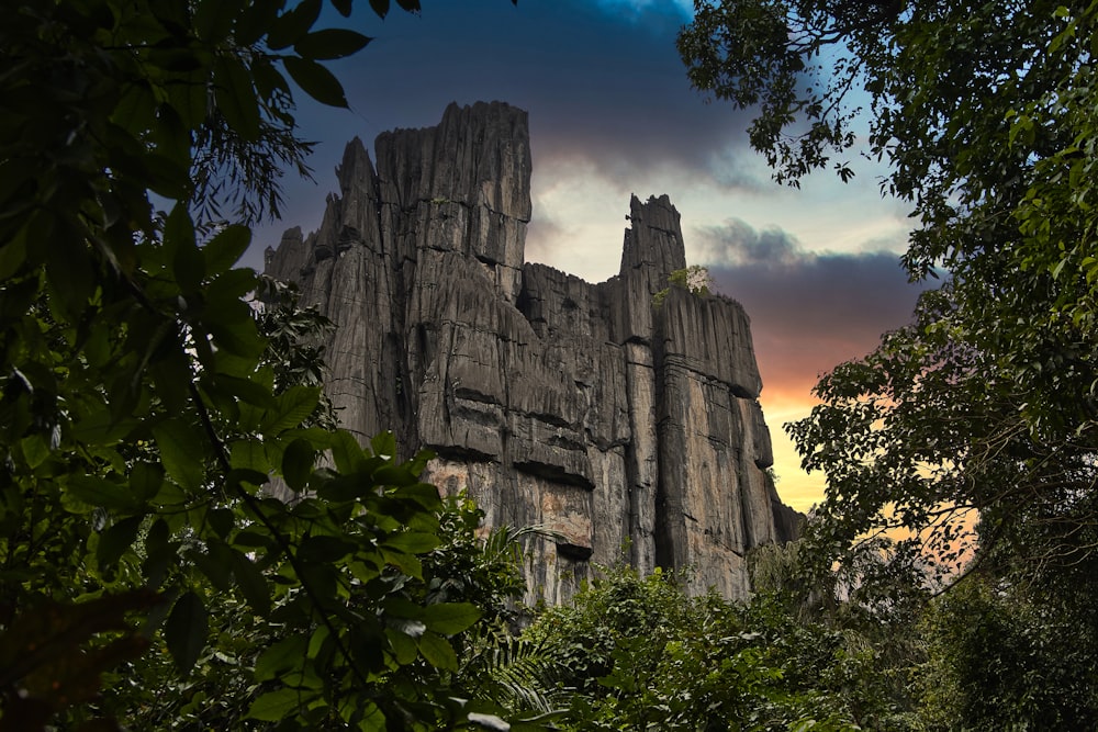 a large rock formation in the middle of a forest