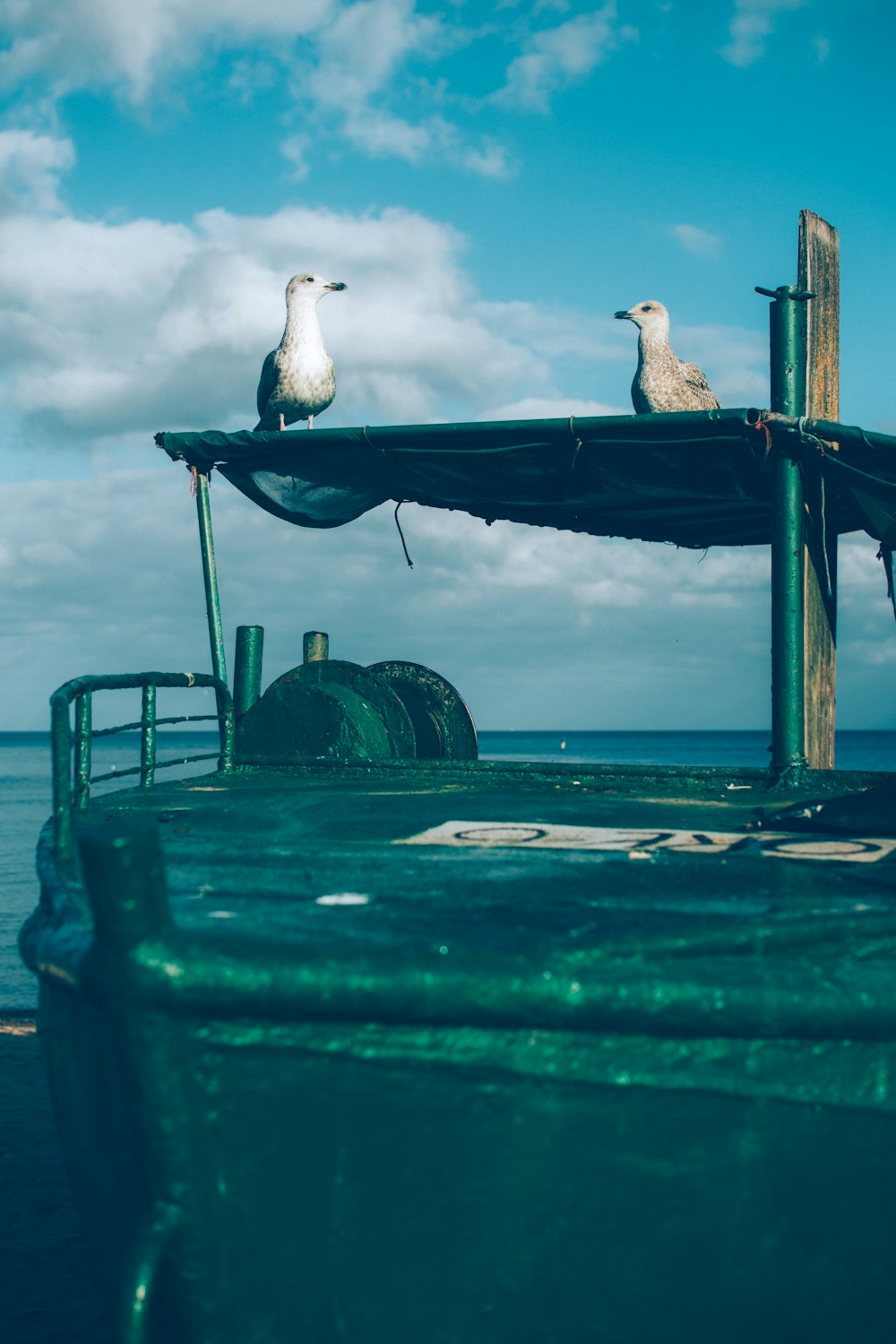 two seagulls sitting on the top of a boat