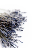 a bunch of lavender flowers on a white surface