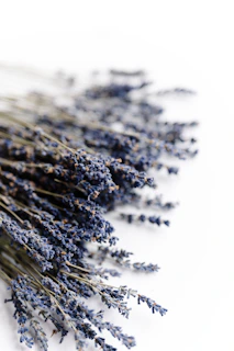 a bunch of lavender flowers on a white surface