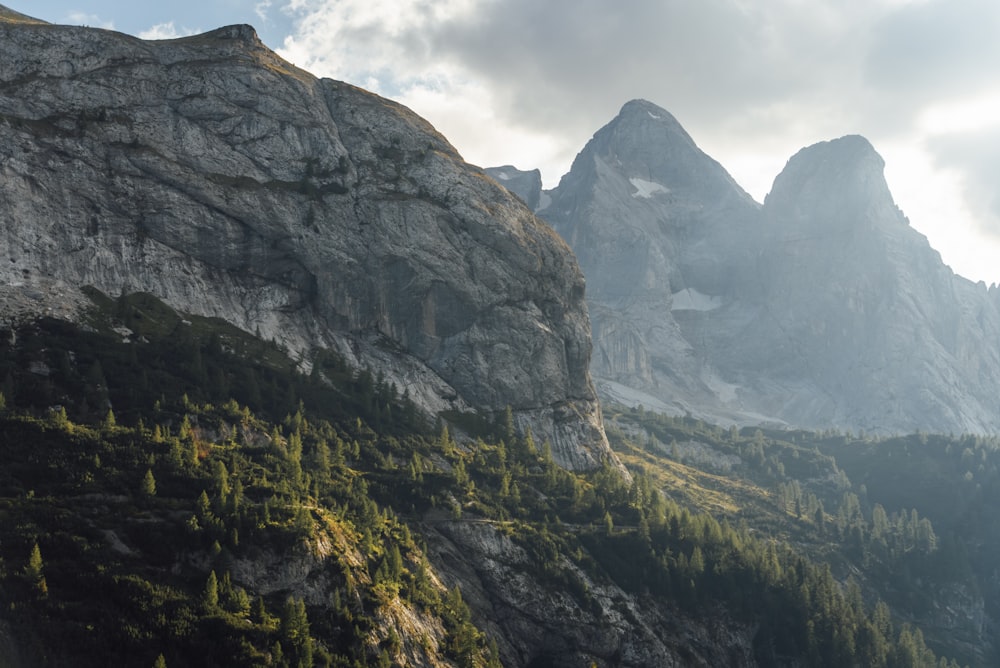 une vue d’une chaîne de montagnes avec des arbres et des montagnes en arrière-plan