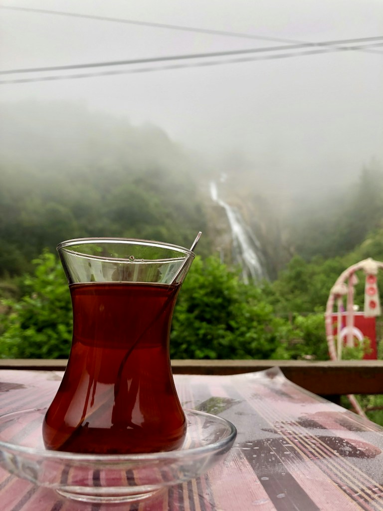 Brahmaputra Morning Tea