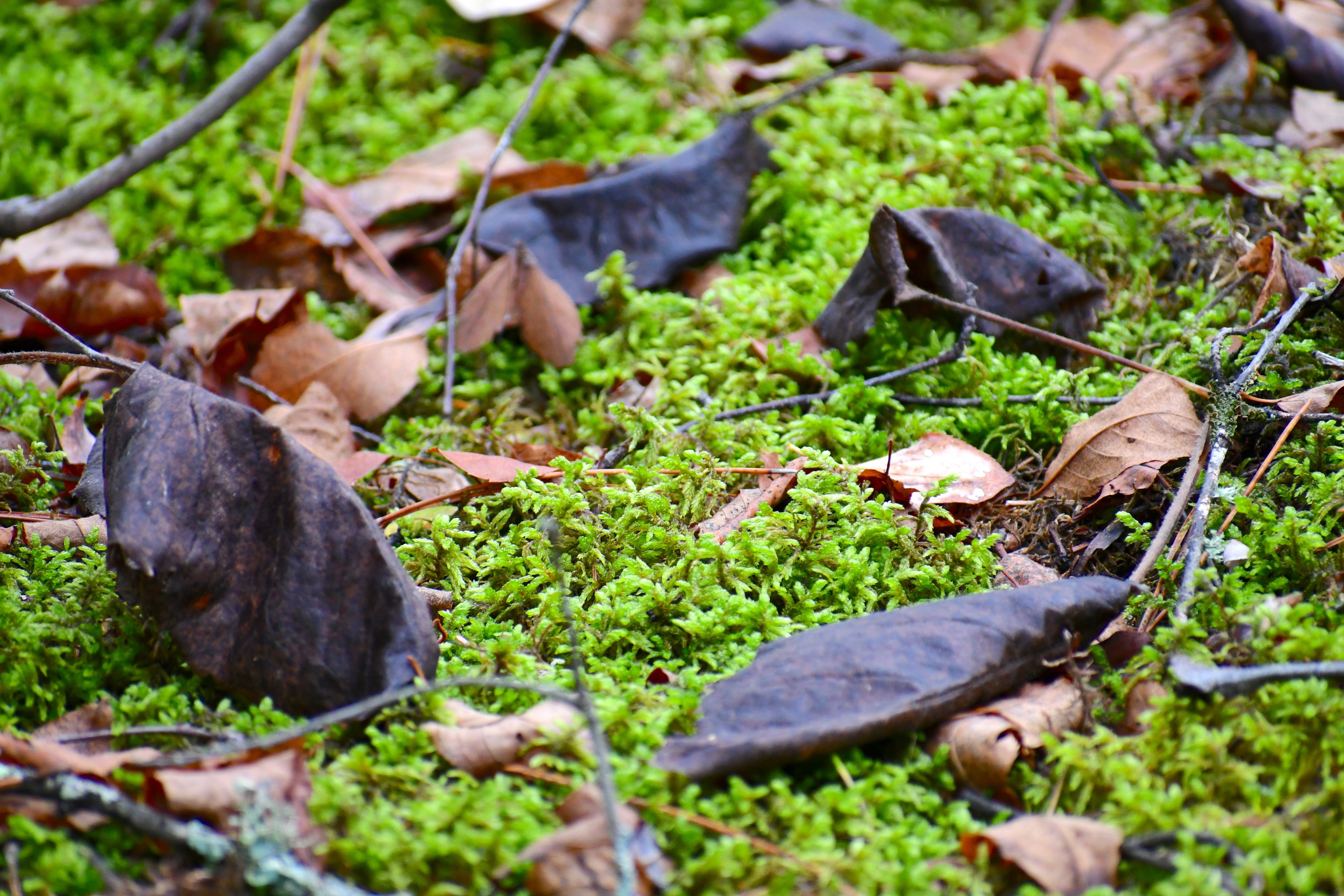 국민연금 예상 수령액 조회, 내 미래 연금을 정확히 계산해보자