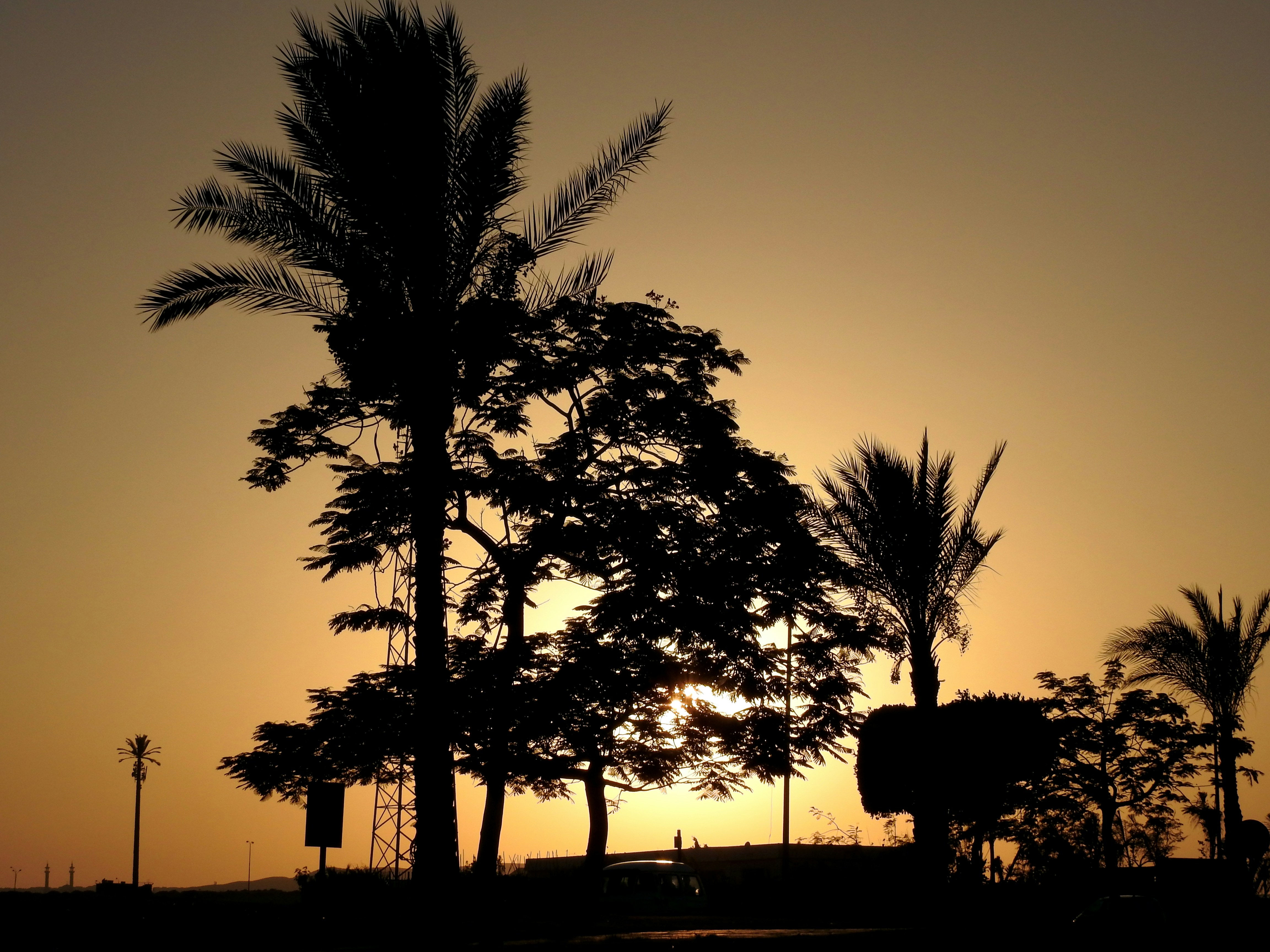 Photo by tamer_soliman
