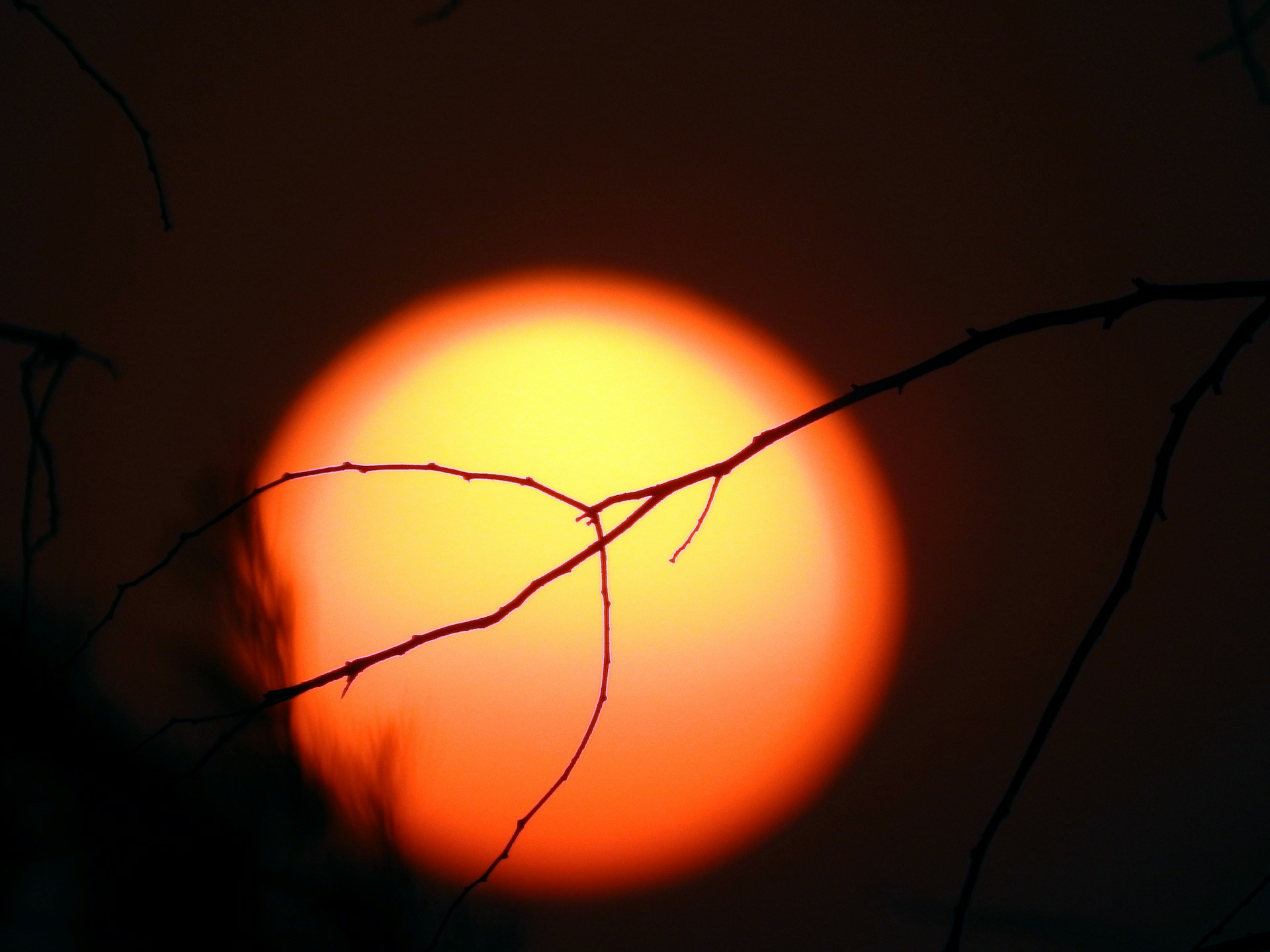 gray computer monitor