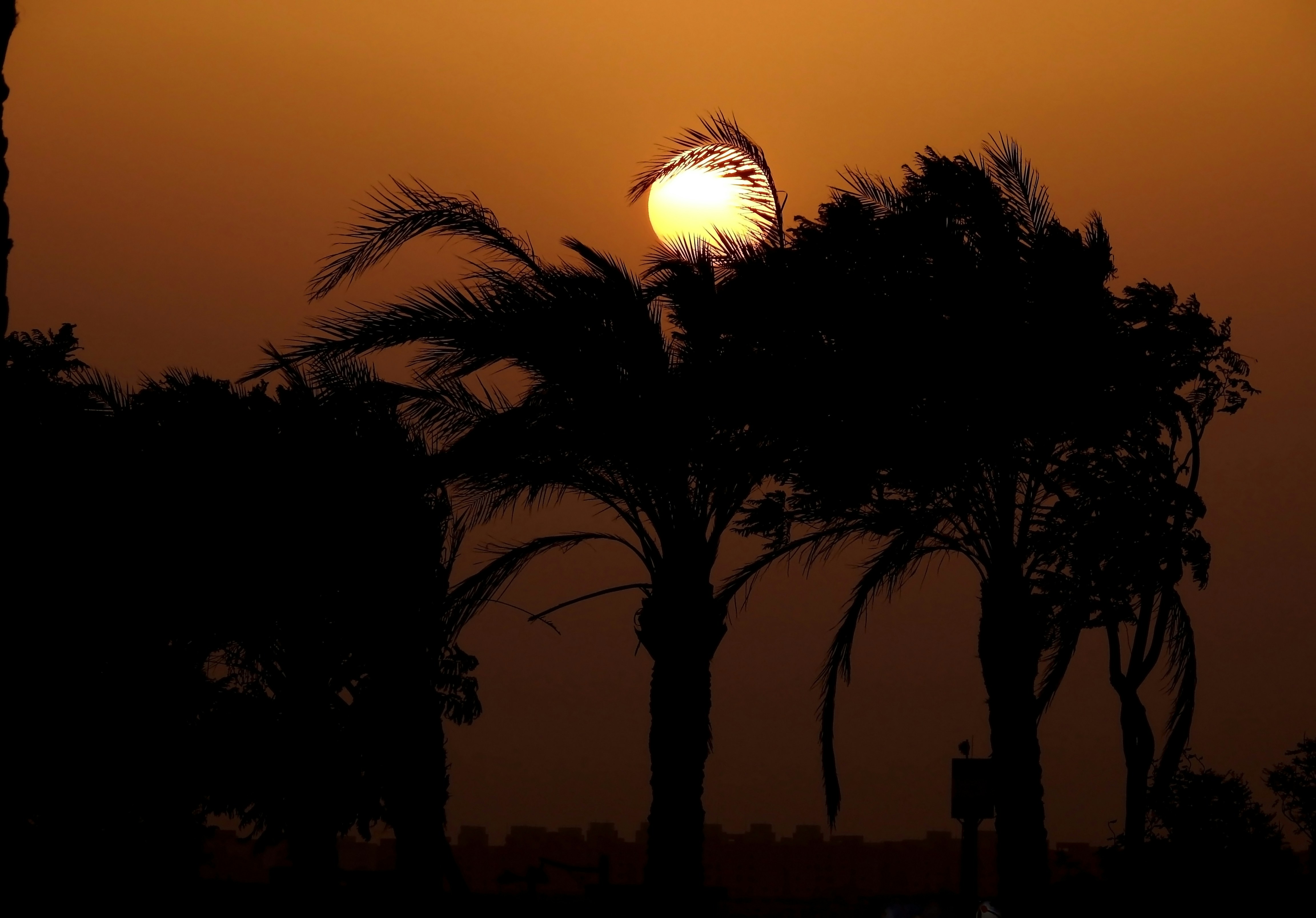 Photo by tamer_soliman