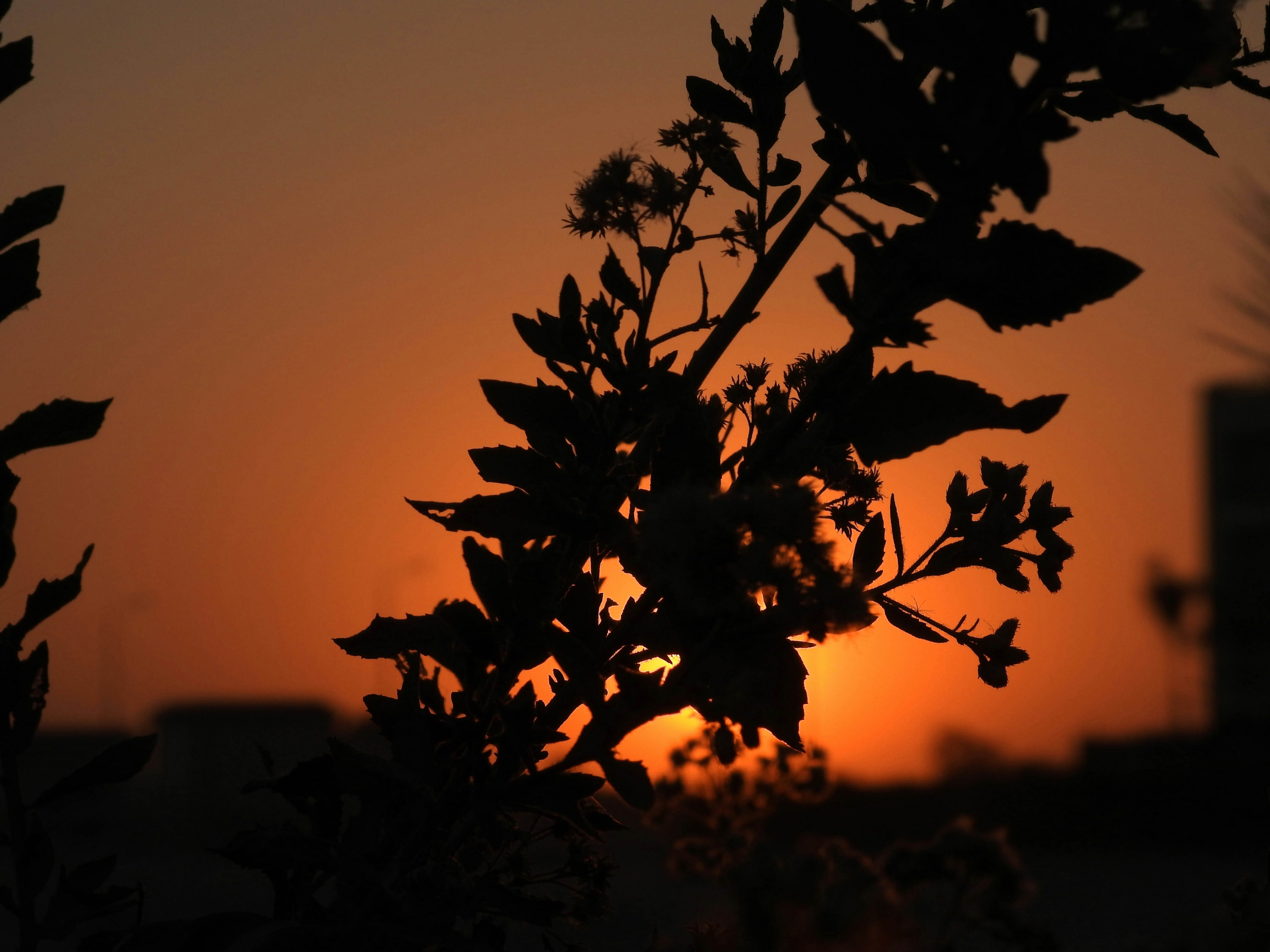 Photo by tamer_soliman