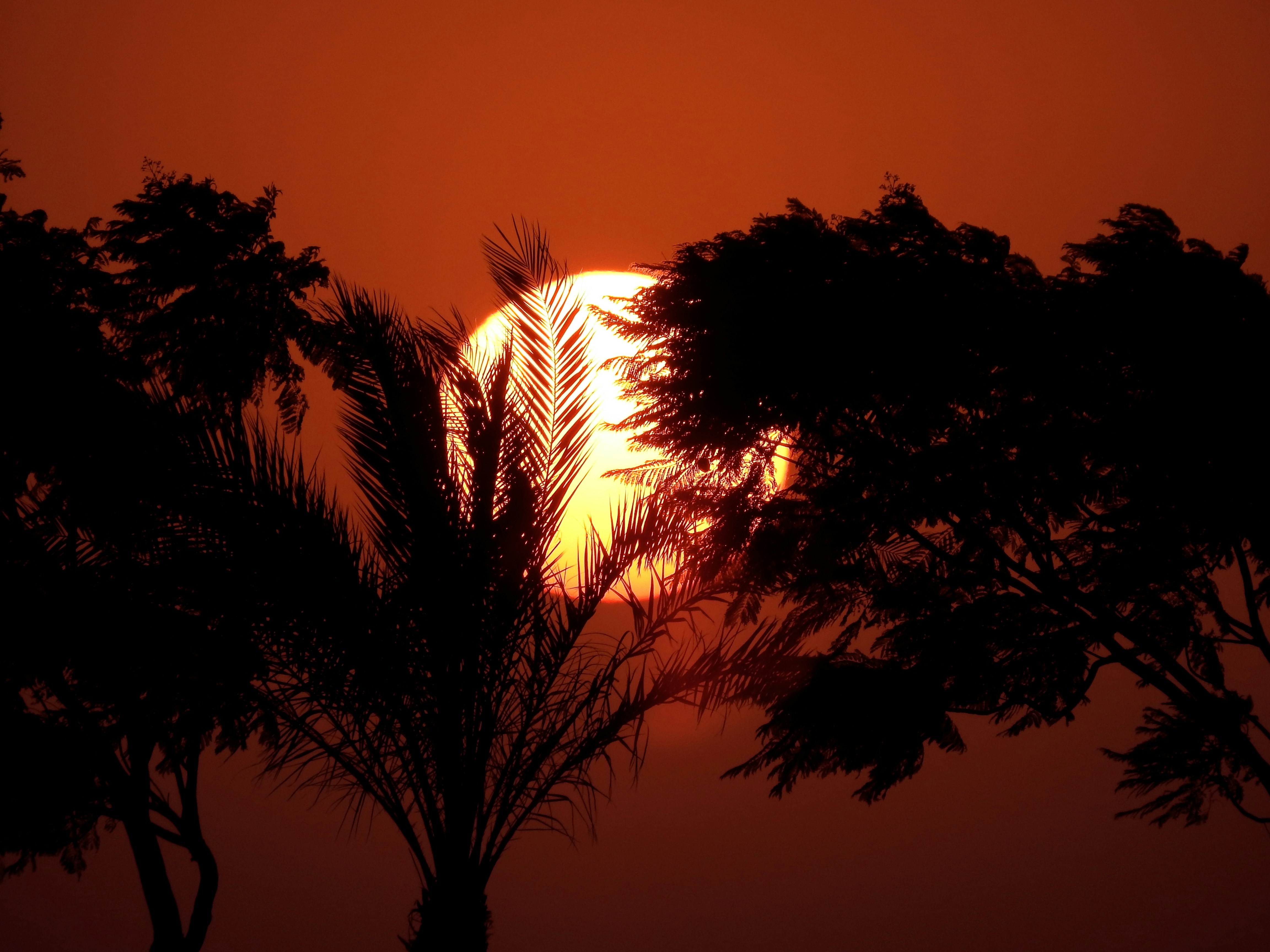 Photo by tamer_soliman