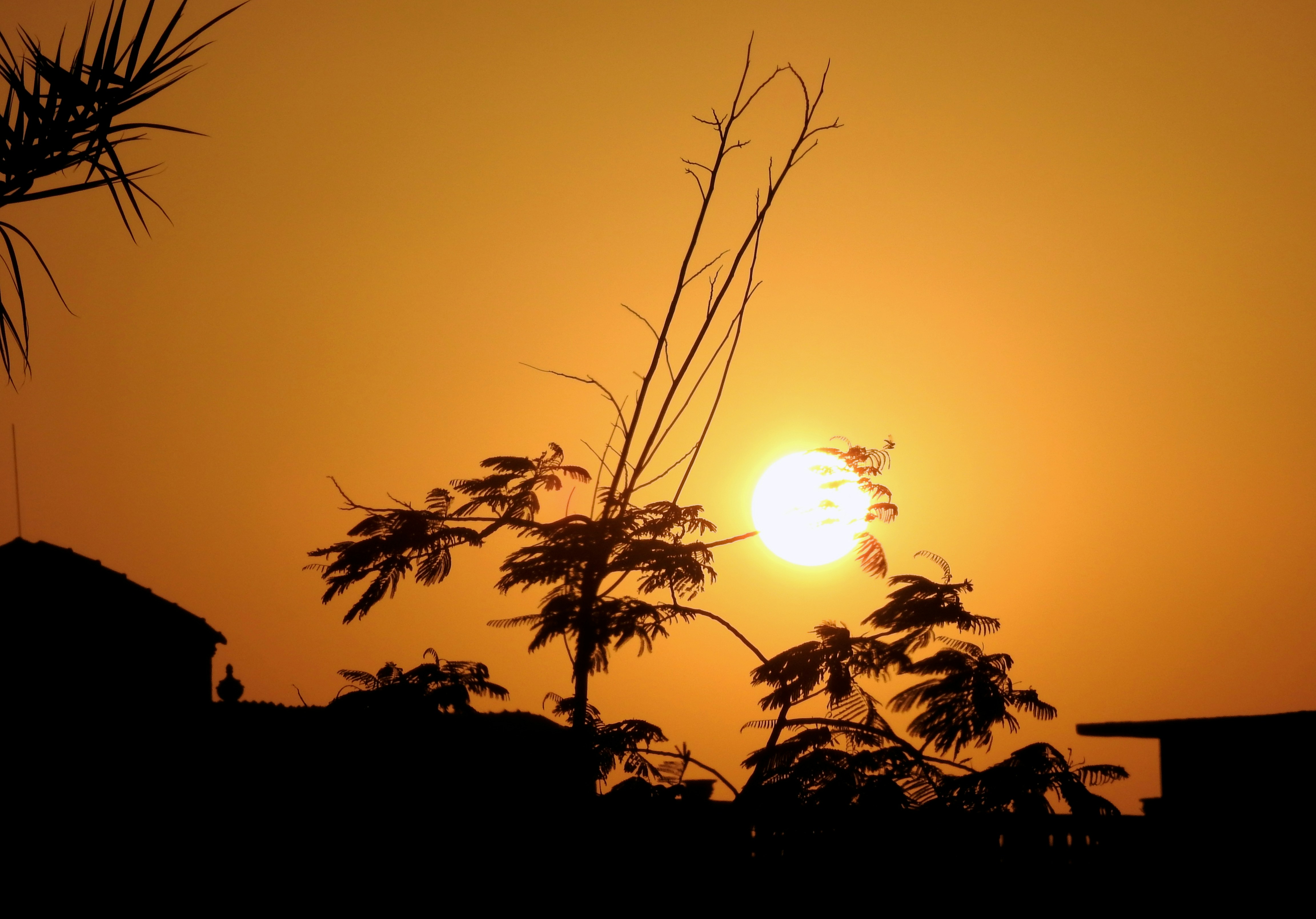 Photo by tamer_soliman