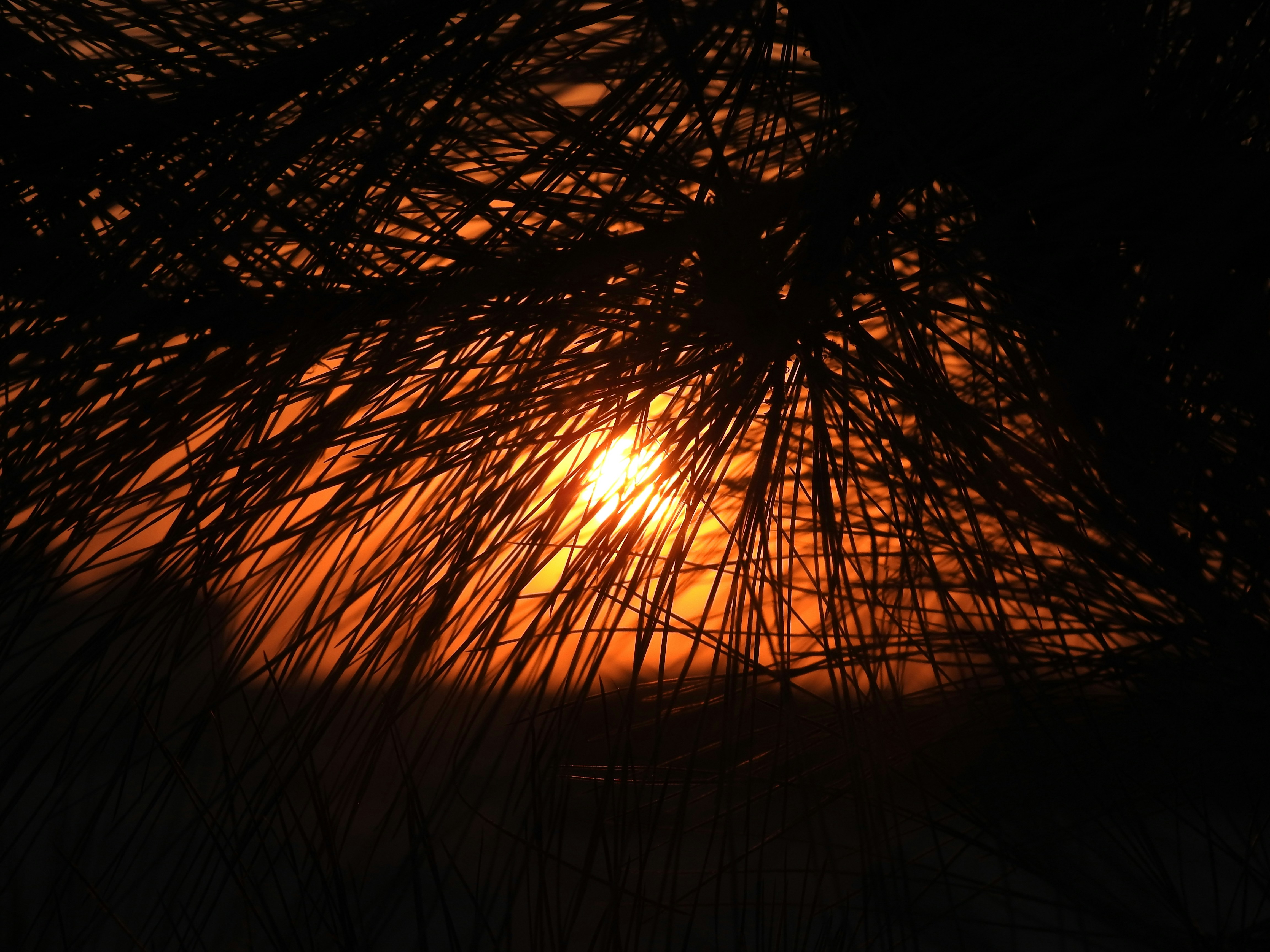 Photo by tamer_soliman