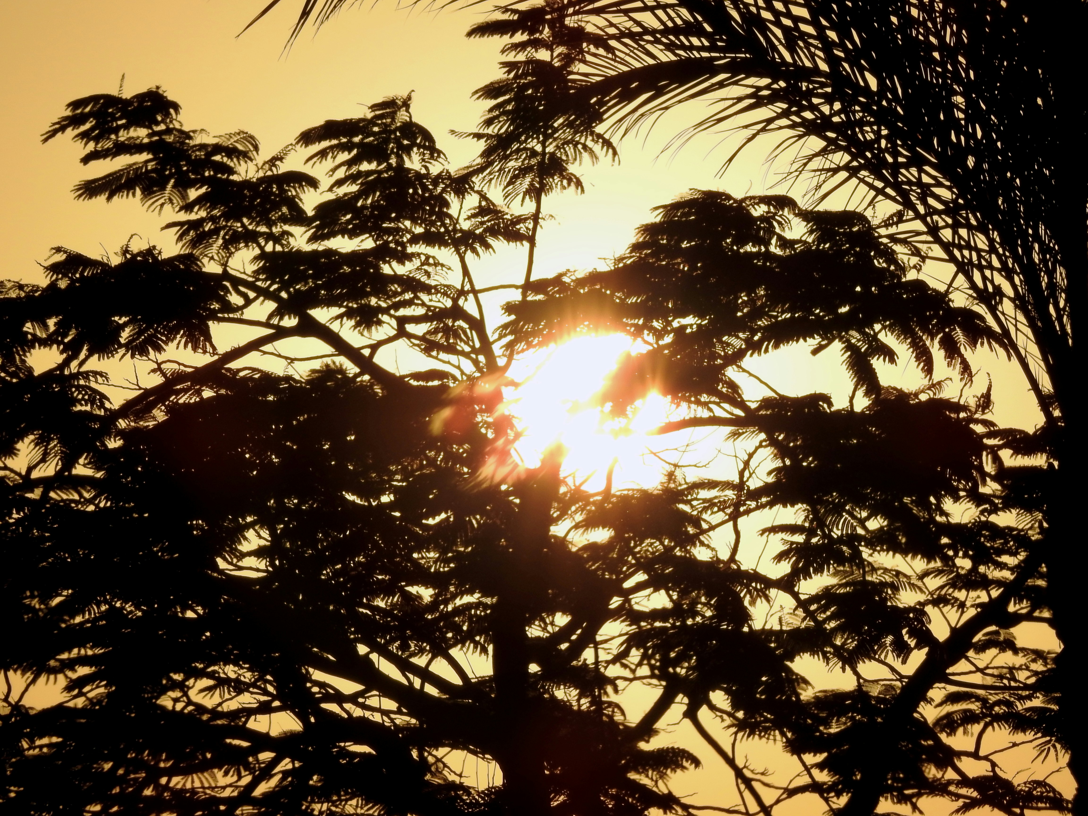 Photo by tamer_soliman