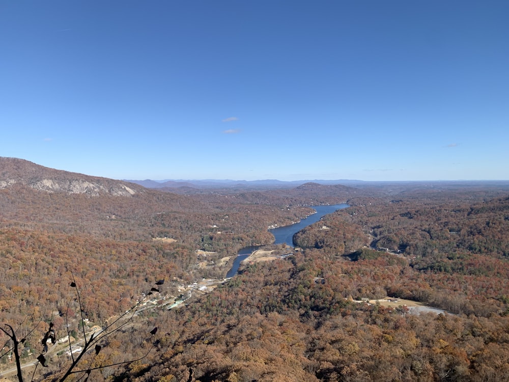 Una vista panorámica de un río en medio de un bosque