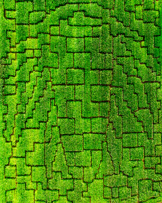 an aerial view of a green field