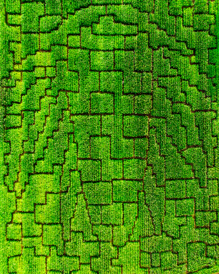 an aerial view of a green field