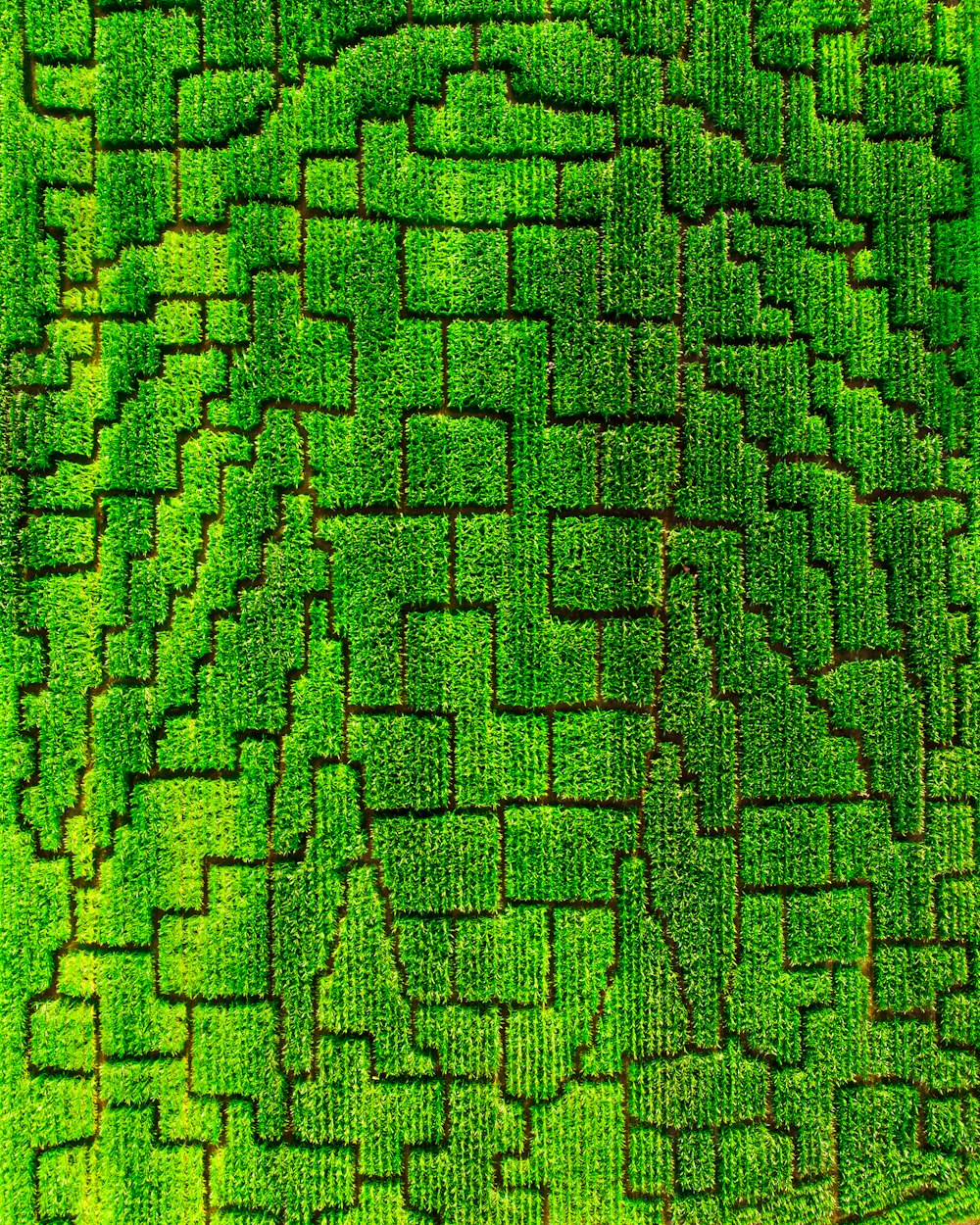 an aerial view of a green field
