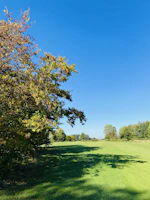 A wide-angle view of a clean, open lot after junk removal, bathed in golden afternoon light.