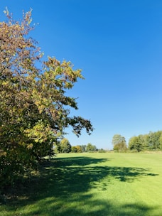 Vacant land plot with clear boundaries and green grass under a sunny sky.