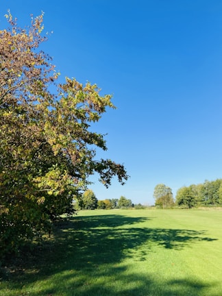 A wide, sunlit plot of land ready for building, surrounded by green trees.