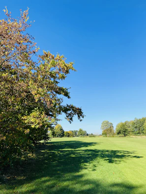A wide-angle view of a clean, open lot after junk removal, bathed in golden afternoon light.