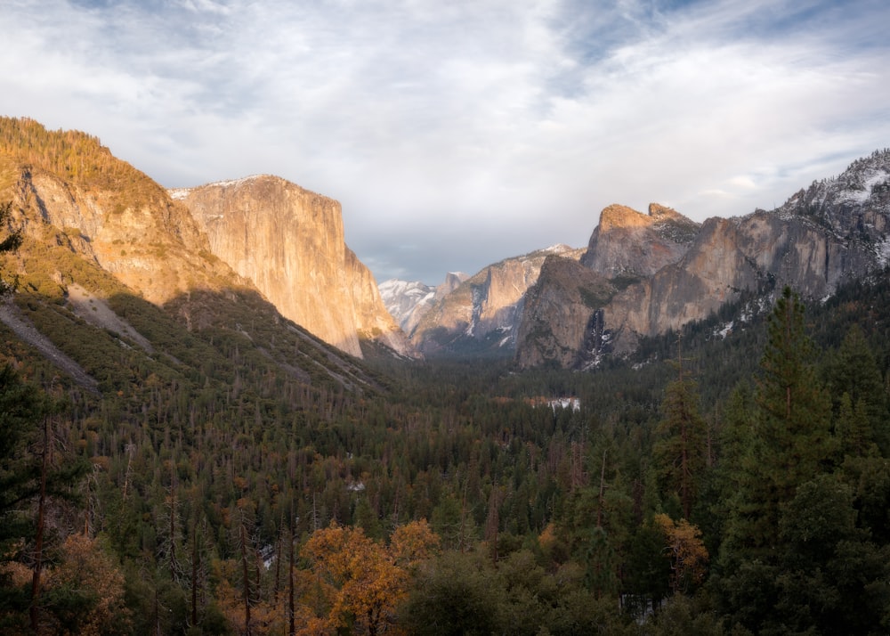 a view of a valley with mountains in the background