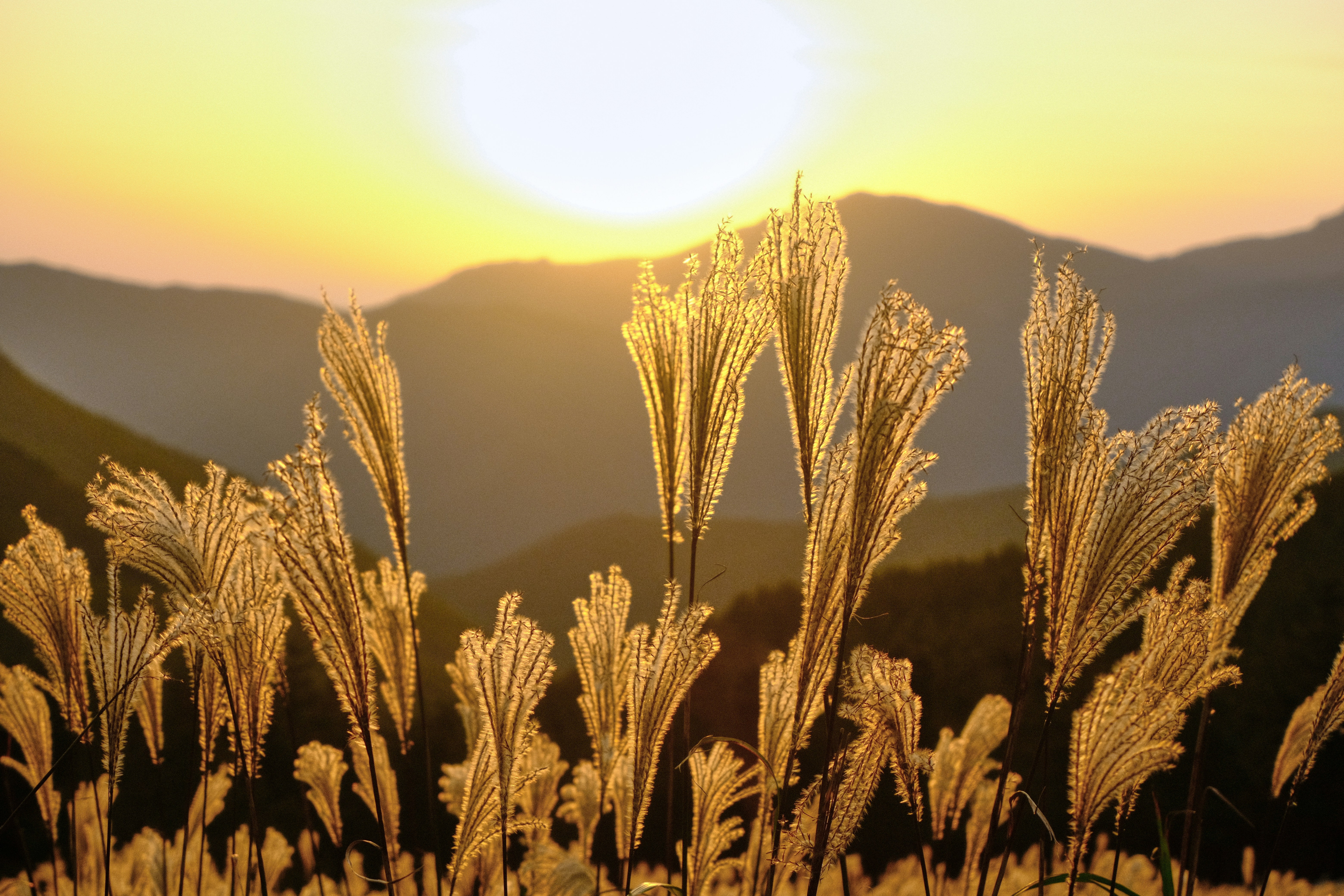 Photo by eragonknight89