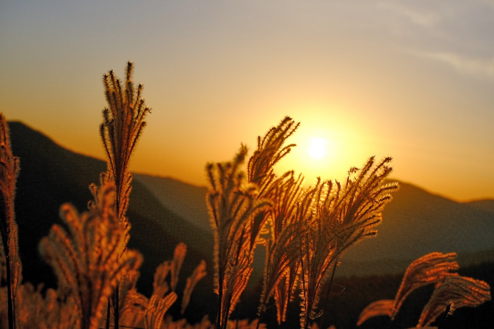 the sun is setting over a mountain range